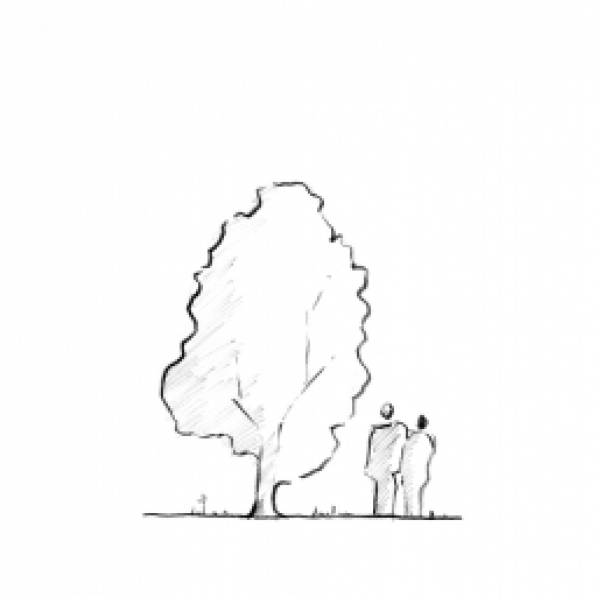 curupí 