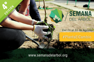 Se viene la cuarta semana del árbol, brindemos apoyo a esta increíble iniciativa