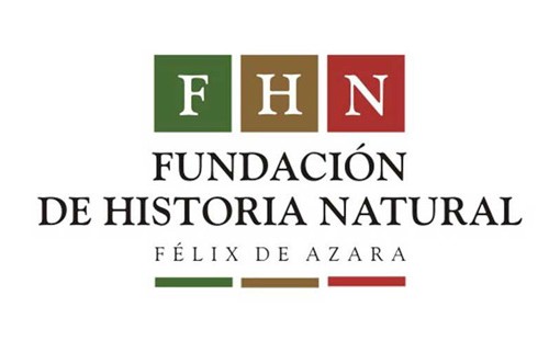 fundacion