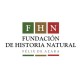 fundacion