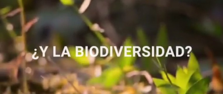 y la biodiversidad