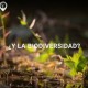 y la biodiversidad